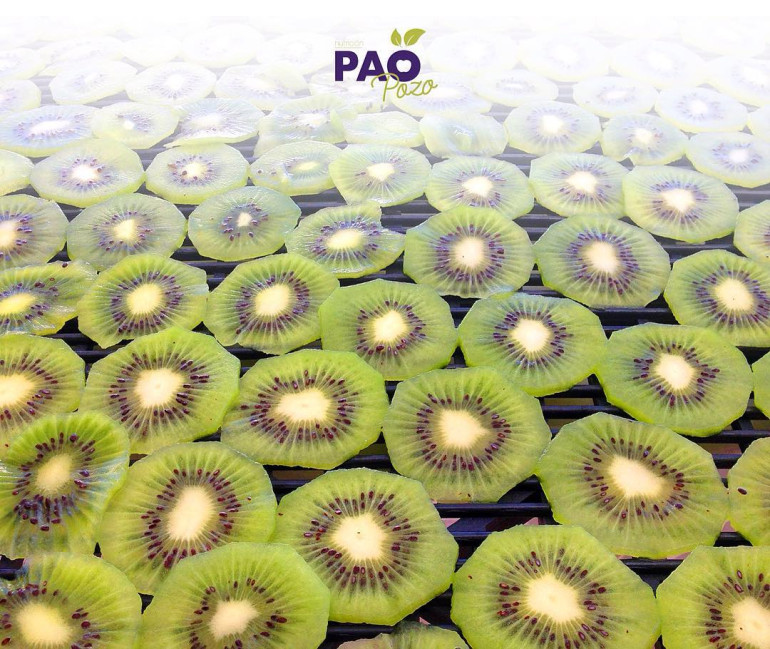 PaoPozoNutrición Kiwi Deshidratado