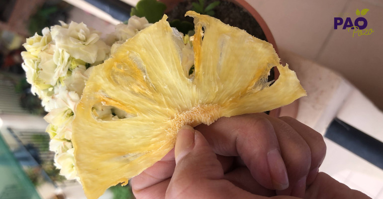 PaoPozoNutrición Piña Deshidratada